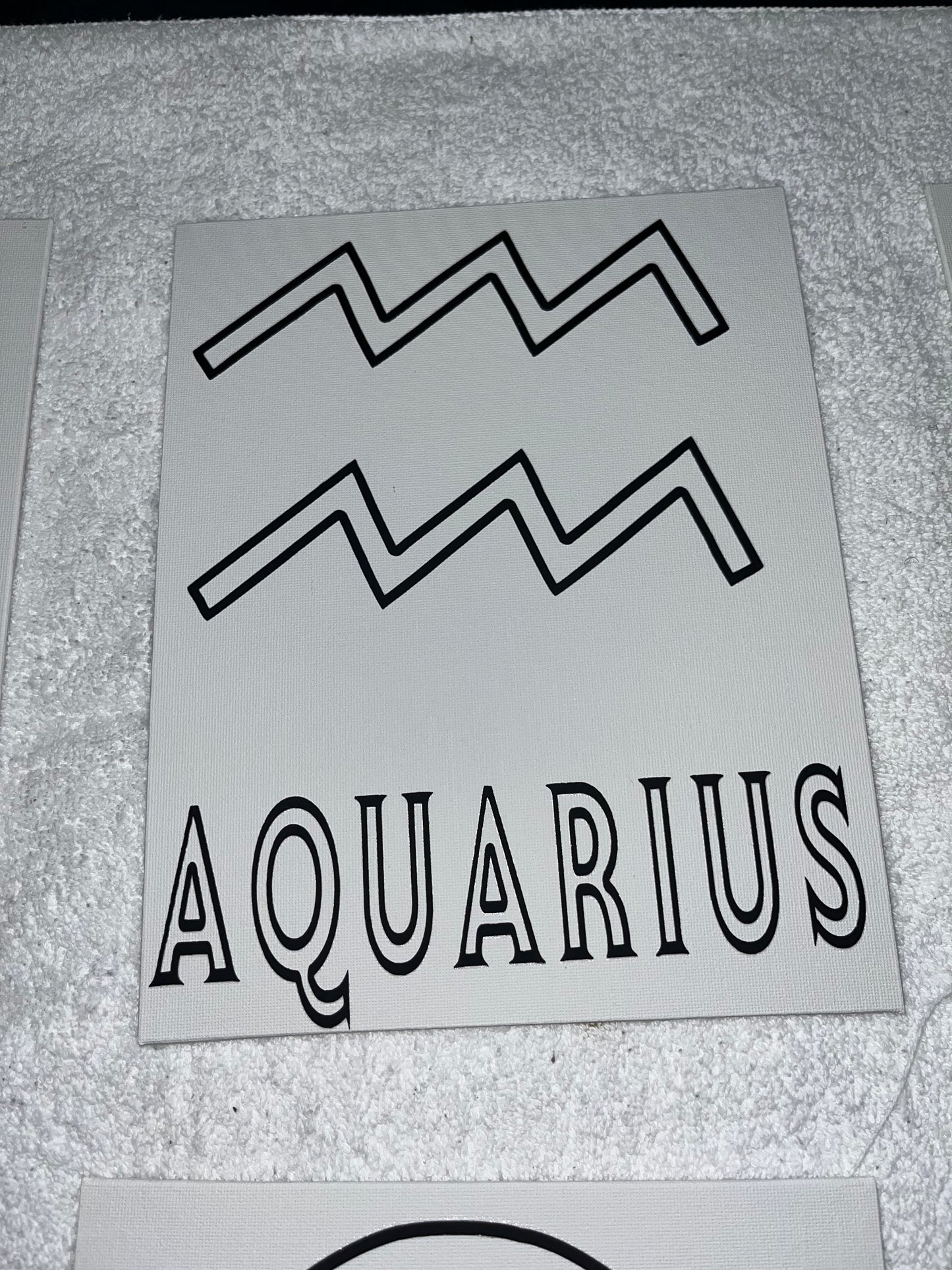 Pre Drawn Canvas - Aquarius